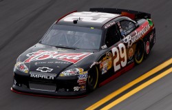 Kevin Harvick 2012 Fantasy NASCAR