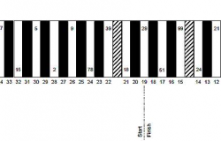 All-Star Race Pit Stall Assignments